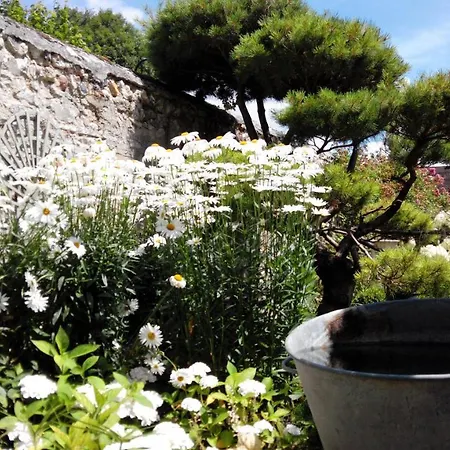 Le Chant Des Oiseaux Bed & Breakfast *