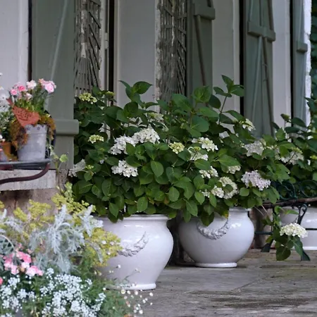 Le Chant Des Oiseaux Bed & Breakfast