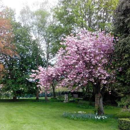 Bed & Breakfast Le Chant Des Oiseaux Pressagny-lʼOrgeuilleux